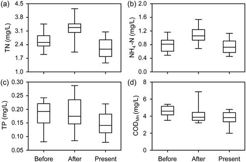 Figure 7. (a) total nitrogen (TN), (b) ammonia nitrogen (NH4-N), (c) total phosphorus (TP), and (d) chemical oxygen demand (CODMn) in Changhu Lake during different phases related to the extreme water levels. Before, samples from January 2014 to September 2015; After, samples from November 2015 to July 2016; After, samples from September 2016 to November 2018.