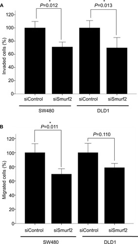 Figure 5 Invasion (A) and migration (B) assays.Notes: Smurf2 siRNA-transfected SW-480 cells were both significantly less invasive (*P=0.012) and migrative (*P=0.011); DLD-1 cells revealed significantly reduced invasive potential (*P=0.013). Bars represent mean + SEM.Abbreviation: SEM, standard error of the mean.