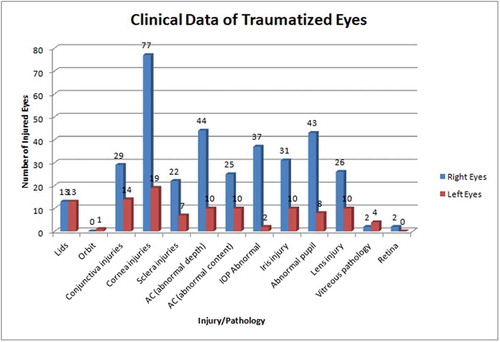 Figure 2. Clinical data of traumatized eyes.