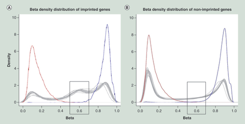Figure 1. Visualization of beta-density and methylation level (vertical axis – beta-density (maximum value of 10) and horizontal axis – methylation level) for imprinted (A) and nonimprinted (B) genes, captured by methylation array.Positive and negative controls are shown by blue and red lines, respectively. Each tissue is shown by a gray line. Imprinted genes have an increased number of intermediately methylated probes with beta-value in 0.5–0.7 range, if compared with nonimprinted genes, as shown in gray boxes.