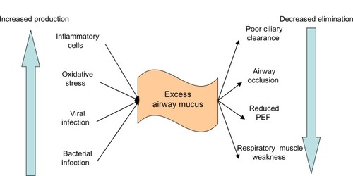 Figure 1 Causes of excessive mucus in COPD.