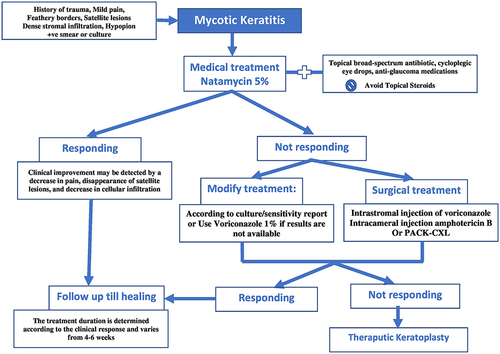 Figure 5 Algorithm for management of different cases of fungal keratitis.