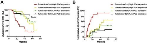 Figure 3 Kaplan–Meier survival curves according to PGC expression in 75 pairs of HCC and adjacent non-tumor tissues stratified by different tumor size. (A) Overall survival (OS) for PGC expression in patients with large tumor size (≥5 cm) or small tumor size (<5 cm). High PGC expression group showed poor OS than low PGC expression group for large tumor size subgroup (red vs green, P=0.0051); while no significant difference was observed in OS between high PGC expression and low PGC expression group for small tumor size subgroup (yellow vs black, P=0.0842). (B) Disease-free survival (DFS) for PGC expression in patients with large tumor size (≥5 cm) or small tumor size (<5 cm). High PGC level group showed poor DFS than low PGC expression group for large tumor size subgroup (red vs green, P=0.0001); while no significant differences were observed in DFS between high PGC level and low-level group for small tumor size subgroup (yellow vs black, P=0.0660).