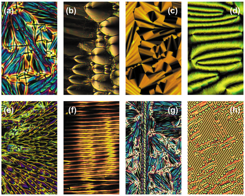 Figure 23. (Colour online) Various defect patterns exhibited by the NTB phase; (a) focal-conic, (b) parabolic, (c) stepped fans, (d) paramorphotic schlieren, (e) splayed parabolics, (f) rows of filaments, (g) spiral filaments, (h) polymer-like fibres, (x100).