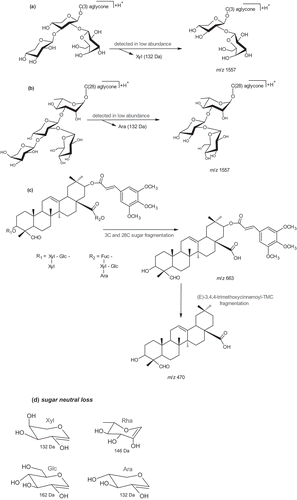 Figure 2. Proposed fragmentation of sugar and acyl groups of GS1 in the positive ion mode; (a) elinination of Xyl moiety (132 Da), (b) fragmentation of Glc moiety (162 Da), (c) 3C and (d) 28C sugar neutral losses (1026 Da) and elimination of trimethoxycinnamoil-TMC group (193 Da).