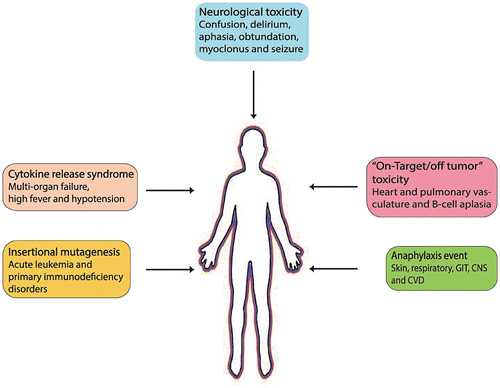 Figure 2. Expected side effects of CAR T-cells.