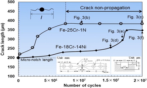 Figure 2. Fatigue crack length plotted against number of cycles.