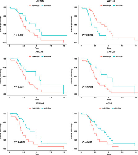 Figure 4 Genes significantly related to patient survival in both Kaplan Meier survival analysis and univariate cox regression analysis.