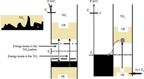 Figure 8 Energy level diagram of charge carrier separation at the interface between carbon and TiO2.Abbreviations: C, carbon; CB, conduction band; Ef, vacuum energy level position; Eg, optical bandgap; Ev, Fermi energy level position; hv, energy of photon; TiO2, titanium dioxide; VB, valence band.