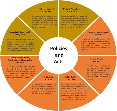 Figure 1. Policies and acts that support surveillance data integration and sharing in Tanzania.