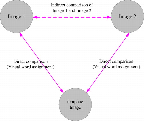 Figure 7. Indirect comparison of image 1 and image 2 with a template image as a common comparator.