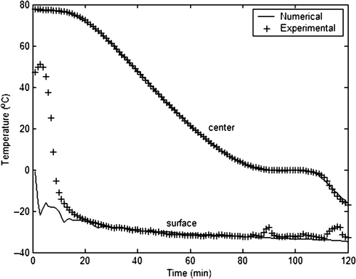 Figure 10. Profiles of temperature in carrot purée for T∞ = −38.5°C and h = 400 W m−2°C−1.