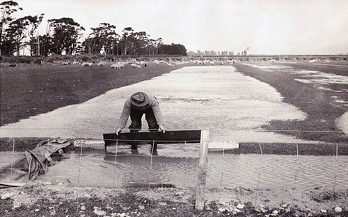 Figure 4  The late Bob Gibson irrigating pasture during 1952 using the border-strip method and manually operated canvas dams, typical of the technique used at that time.