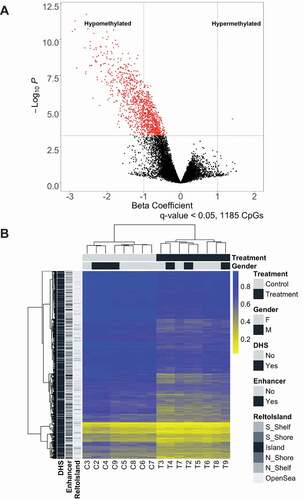 Figure 1. P. aeruginosa EVs alter DNA methylation in human lung macrophages