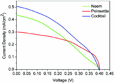 Figure 9. Current density–voltage characteristics of DSSC based on different natural dyes.