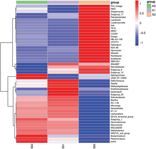 Figure 7. Heat map of species composition at the genus level for species clustering.