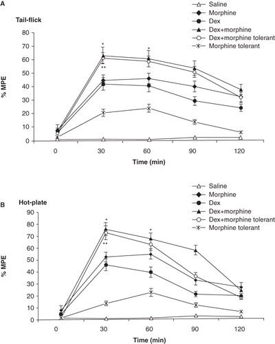 Figure 1. Effects of dexmedetomidine (DEX; 20 μg/kg; i.p.) on morphine analgesia and tolerance in tail-flick (A) and hot-plate (B) tests. Each point represents the mean ± SEM of percent of maximal possible effect (% MPE) for 8 rats. *p < 0.05 compared to morphine group, **p < 0.01 compared to morphine-tolerant group.