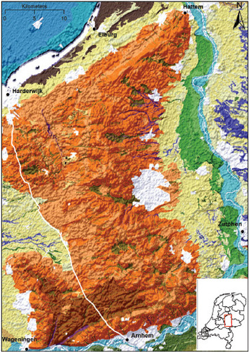 Fig. 3. Section of the archaeological landscape map of the Netherlands (1:50,000) depicting the Veluwe region and the trajectory of the medieval trade route of the Harderwijkerweg. Clearly visible are the characterising ice-pushed moraines in this area (light and dark orange sections). For a detailed description of the individual landscape units, legend and background information see Rensink et al. (2017).