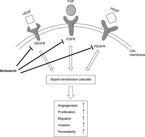 Figure 2 Triple angiokinase inhibition mechanism of nintedanib targeting tumor angiogenesis.