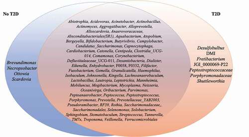 Figure 3. List of members of the ubiquitous microbiome (present in at least 50% of the samples). Blue represents no-T2D, while Orange represents T2D. The intersection represents the ubiquitous taxa present in all samples.