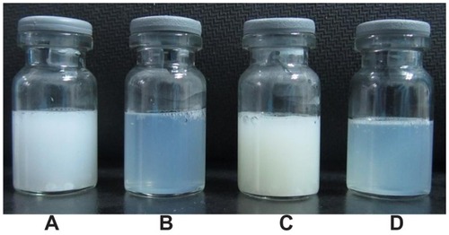 Figure 3 Photographs of (A) coarse poly(ethylene glycol)-mediated docetaxel-lipid-based- nanosuspension; (B) poly(ethylene glycol)-mediated docetaxel-lipid-based-nanosuspension; (C) coarse targeted docetaxel-lipid-based-nanosuspension; and (D) targeted docetaxel-lipid-based-nanosuspension.