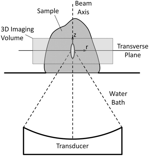 Figure 1. Set-up for MRgFUS experiments and orientation of coordinate axes in analytical solutions used for thermal diffusivity estimation.