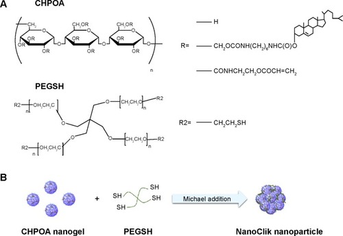 Figure 1 Schematic illustration of NanoClik nanoparticle formation. (A) Chemical structures of the CHPOA and PEGSH. (B) CHPOA were crosslinked with PEGSH by Michael addition.Abbreviations: CHPOA, acryloyl group-modified cholesterol-bearing pullulan; PEGSH, pentaerythritol tetra (mercaptoethyl) polyoxyethylene.