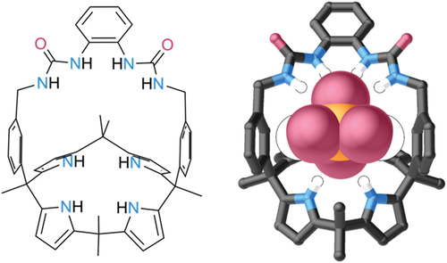 Figure 1. Chemical structure and molecular model of Valkenier and co-workers’ phosphate transporter.