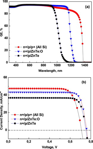 Figure 5. IPV effect in n+/p/p+ and n+/p/ZnTe solar cells; (a) Quantum efficiency and (b) current-voltage characteristics.