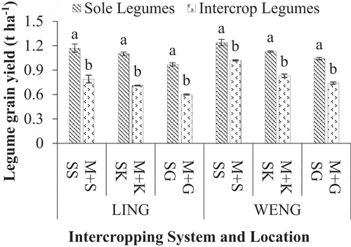 Figure 5. Grain yield of legumes (soybean, kidney bean and groundnut) among different maize – legume intercropping systems. Within each location, values followed by different lower-case alphabetical letter represent significant differences between treatments at 5% significance level. Error bars indicate the standard error of three replicates. LING; Lingmethang, WENG; Wengkhar, SS; sole soybean, SK; sole kidney bean, SG; sole groundnut, M+S; maize-soybean, M+K; maize-kidney bean and M+G; maize-groundnut.