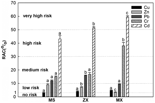 Figure 3. Risk assessment code classification (RAC).