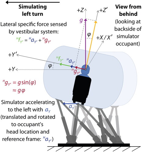 Figure 5. Sensed lateral specific force during a simulated vehicle left turn manoeuvre.