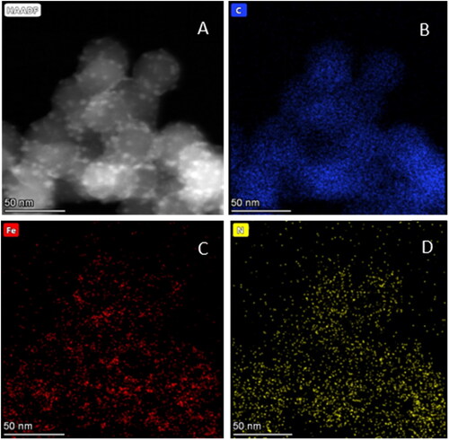 Figure 6. STEM-HAADF images of (A) Fe3O4@P4VP-b-PS Nanoparticles prepared through dispersion polymerization. The molar ratio of FeCl3:P4VP is 1:2. (Note: the molar ratio of Fe3+:Fe2+ is 1:1); (B)-(D) EDX elemental mapping images of (B) C map, (C) Fe map and (D) N map.