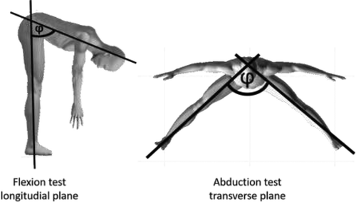 Figure 2. Visualisation of flexibility tests recorded with a 3D Vicon® motion capturing system, based on (Hoelbling et al., Citation2020a)