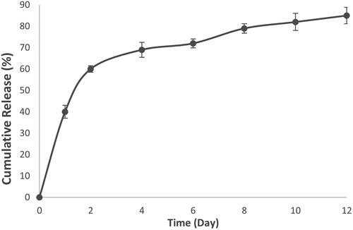 Figure 4. The antibacterial effects of free meropenem and meropenem-loaded MSNs. MIC: Minimum Inhibitory Concentration.
