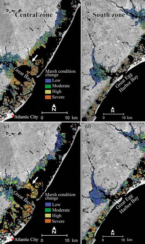 Figure 5. (a) and (b) show marsh condition change maps generated using optical Satellite Pour l’Observation de la Terre (SPOT) data; (c) and (d) show marsh condition change maps generated using optical satellite Moderate Resolution Imaging Spectroradiometer (MODIS) data. The arrow in Figure 5(a) and 5(c) denotes a region of non-coincidence in SPOT and MODIS marsh condition mapping. Zone locations are shown on Figure 1 and coverage extents are the same as in Figures 3 and 6. See supplemental Figure S4 (b) for northern zone SPOT marsh condition map.