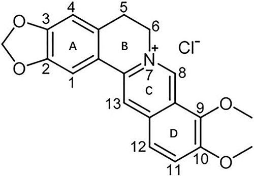 Figure 1 Chemical structure of berberine. Adapted from Ai X, Yu P, Peng L, et al. Berberine: a review of its pharmacokinetics properties and therapeutic potentials in diverse vascular diseases. Front Pharmacol. 2021;12:762654. Creative Commons.Citation24