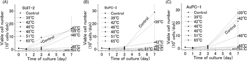 Figure 3. Cytotoxic effect of heat, generated by induction heating. An AMF (100–150 Oe, 114 kHz) was applied to three different cell pellets (SUIT-2, BxPC-3, and AsPC-1) containing ferucarbotran. After 10-min exposure to various temperatures (39°C, 42°C, 46°C, 48°C, 51°C, and 60–65°C), each cell pellet was cultured for 7 days. The numbers of viable cells 1, 3, and 7 days after incubation were counted. The values and bars are the mean and SD of three independent experiments.