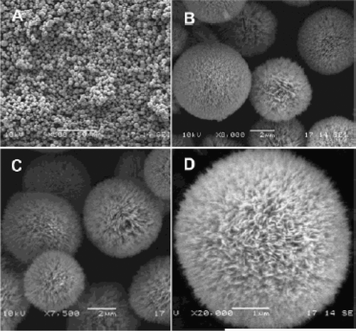 Figure 20. SEM images of CuO microspheres (prepared at 100°C, 24 h): (a) overall product morphology; (b and c) detailed views on average sized spheres; and (d) a detailed view on an individual sphere Citation40.