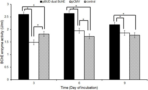 Figure 6 The BChE enzyme activity in different experimental groups during different days of inoculation. Data are presented as mean±SD with dilution factor = 100 folds; (*p≤0.05).