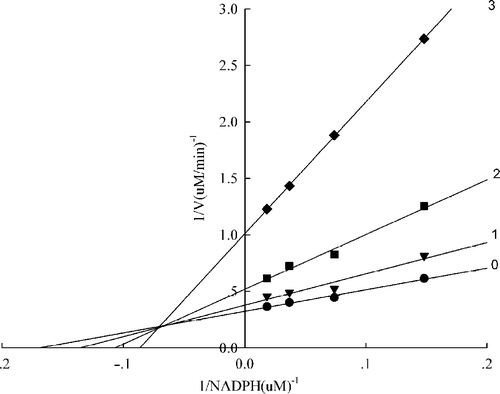 Figure 4 Lineweaver-Burk plot of the inhibition of the overall reaction of FAS by A. platanoides extract. The concentration of extract in the reaction system was 0 (0), 0. 25 μg/mL (1), 0.5 μg/mL (2), and 0.75 μg/mL (3). The FAS concentration was 0.012μM, and the fixed concentrations of Malonyl-CoA and Acetyl-CoA were 10 and 2.5μM, respectively. The reaction rate was the concentration of NADPH per min consumed in the overall reaction.