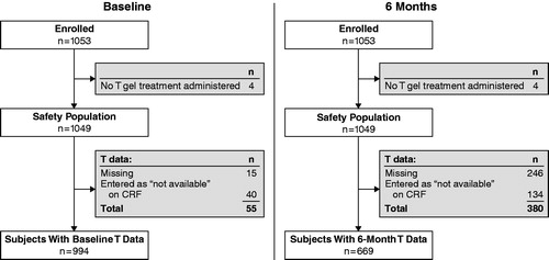 Figure 2. Flow chart showing T data at baseline and after 6 months of treatment. CRF, case report form; T, testosterone.