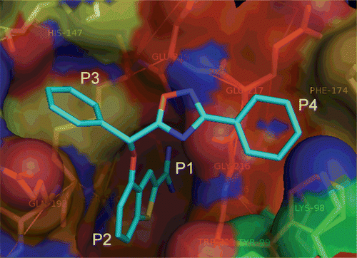 Figure 2.  The binding models of IZX (i.e. compound 37 in the present work) with FIXa (PDB ID: 3LC5). The inhibitor is represented as stick model and carbon atoms are coloured cyan by element; P1, P2, P3 and P4 refer to the corresponding positions in the binding pocket. All hydrogen atoms are removed for clarity.
