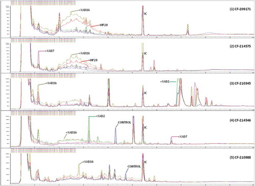 Figure 4. Comparative analysis of different uHPLC-UV 210 nm secondary metabolite profiles produced by five different fungal strains: (1) Preussia sp. (CF-209171); (2) Chaetothyriales sp. (CF-214575); (3) Sydowiella sp. (CF-210345); (4) Diaporthe sp. (CF-214546); (5) Penicillium sp. (CF-210988) when these fungus were grown on MMK2 fermentation medium with and without XAD-2, XAD-7, XAD-16 and HP-20 resins. Relevant uHPLC traces are indicated in the figure. Internal control (IC) was added homogeneously to each sample to allow accurate comparisons of the chromatographic runs.