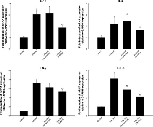 Figure 8 Effect of NaSe and SeNPs on the mRNA expression of jejunal IL-1β, IL-6, IFN-γ, and TNF-α in Eimeria papillata-infected mice.Notes: Results (mean±standard error of the mean of 3 assays) were normalized to GAPDH mRNA level and are shown as fold induction (in log 2 scale) relative to the mRNA level in the control, by RT-PCR. ap<0.05, significant change with respect to control group; bp<0.05, significant change with respect to infected group according to Duncan’s post-hoc test.Abbreviations: GAPDH, glyceraldehyde 3-phosphate dehydrogenase; IFN-γ, interferon-γ; IL, interleukin; NaSe, sodium selenite; RT-PCR, real-time polymerase chain reaction; SeNPs, selenium nanoparticles; TNF-α, tumor necrosis factor-α.