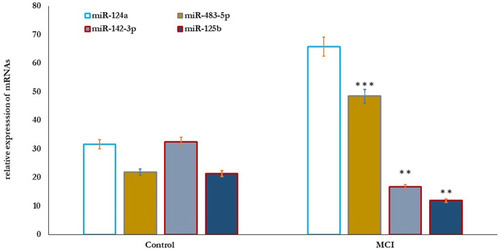 Figure 3 MicroRNAs’ differential expression profile in healthy control (n=80) and older adults with MCI (n=70). The results showed that the relative expression of miR-124a and miR-483-5p significantly increased (P=0.001), and miR-142-3p, and miR-125b significantly reduced (P=0.01) in older adults with MCI compared healthy controls. Significance of the comparison was evaluated by Mann–Whitney–Wilcoxon test and sample t-test, **p≤ 0.01, ***p≤ 0.001.