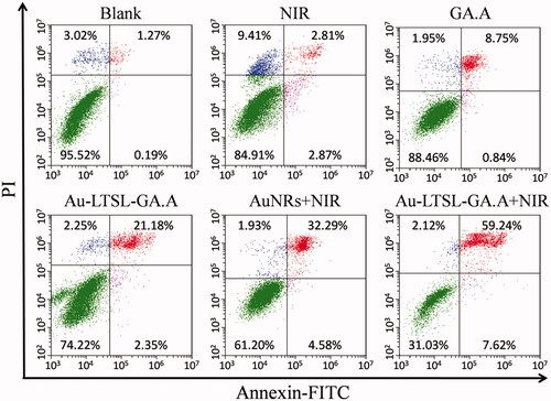 Figure 6. MCF-7 cells treated with Au-LTSL-GA.A (30 μg/mL) for 2 h in incubation and measured for 5 min upon irradiation (0.25 W/cm2), were analyzed using flow cytometry by Annexin V-FITC/PI staining after 12 h culture. Cells treated with NIR irradiation, GA.A (30 μg/mL), Au NRs + NIR irradiation (30 μg/mL) and Au-LTSL-GA.A (30 μg/mL) were set as control groups. The blank group was PBS.