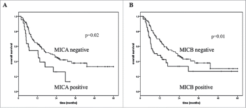 Figure 4. Overall survival of melanoma patients treated with immunotherapy in association with the levels of sNKG2DLs in post-treatment serum. The absence (dotted line) in the post-treatment serum of sMICA (Panel A) and sMICB (Panel B) correlated with improved OS (median OS = 20.2 and 22.8 vs. 10.4 mo, p = 0.02 and 0.01, respectively) while detectable levels of these molecules were found in the serum of poor survivor patients (median OS = 12.4 and 10.4 mo, respectively) (black line).