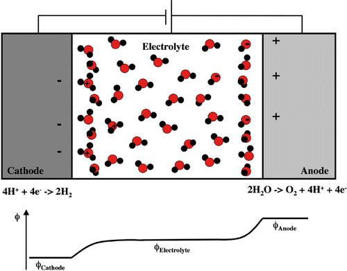 Figure 1. Schematic of an electrolytic cell for splitting water to form H and O.