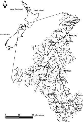 Figure 1  Location of study sites in the Motueka River catchment. Geologies: SG, Separation Point granite; MG, Moutere gravel; K, karst; HS, hard sedimentary; UM, ultramafic. Land use sites indicated by: N, native forest; E, exotic forest; P, pasture. a, b, and c refer to the replicate streams for each geology and geology×land use combination (Table 1).